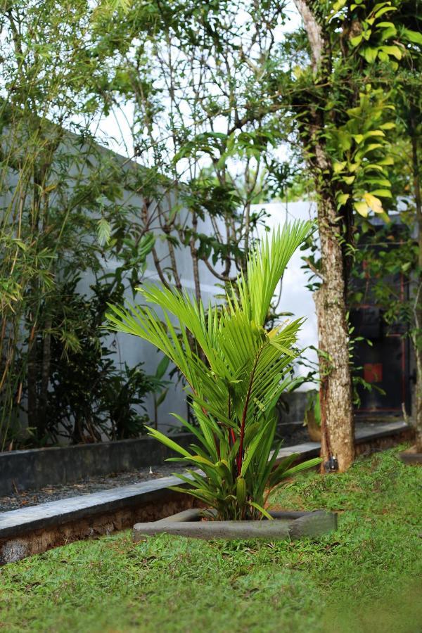 Triple Edge Villa Unawatuna Exteriör bild